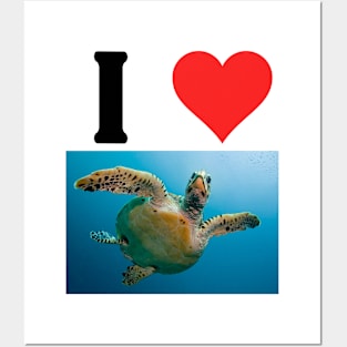 I Love Turtles Posters and Art